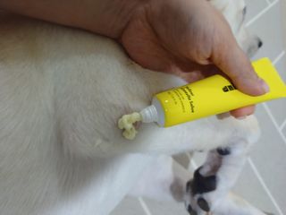 태가맘님이 올린 리뷰 사진 3