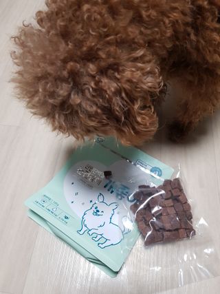 My Pet Care 천연단백질 눈건강에 개좋아 — 5점을 준 리뷰어가 2020년 12월 올린 사용 사진