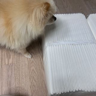 세지니힛님이 올린 리뷰 사진 2