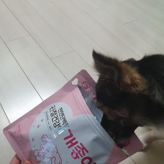 My Pet Care 천연단백질 관절건강에 개좋아 — 5점을 준 리뷰어가 2021년 2월 올린 사용 사진