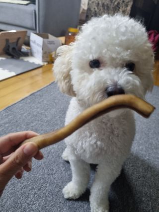 귀요미쫑님이 올린 리뷰 사진 3