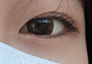 율ʕ•ᴥ•ʔ님이 올린 리뷰 사진 1