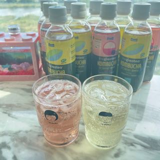 더그레잇티 콤부차 [매일유업] 더그레잇티 44kcal 콤부차 300ml *12개입 (오리지널 6개+베리리치 6개) — 5점을 준 리뷰어가 2023년 7월 올린 사용 사진