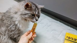 시묘님이 올린 리뷰 사진 2