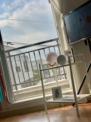 유링님이 올린 리뷰 사진 3