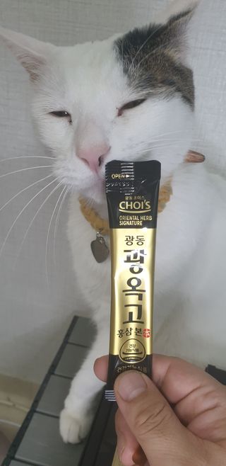 광동생활건강 [광동제약] 광동 광옥고 홍삼 본 30포 + 쇼핑백 증정 — 4점을 준 리뷰어가 2022년 5월 올린 사용 사진