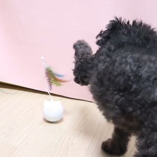 우와한언니님이 올린 리뷰 사진 3