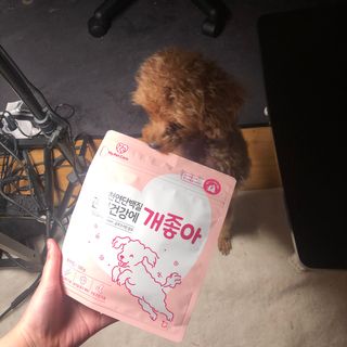 My Pet Care 천연단백질 관절건강에 개좋아 — 5점을 준 리뷰어가 2021년 2월 올린 사용 사진