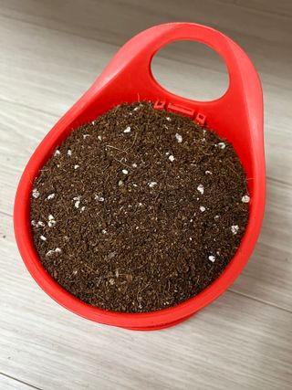 하노리님이 올린 리뷰 사진 3