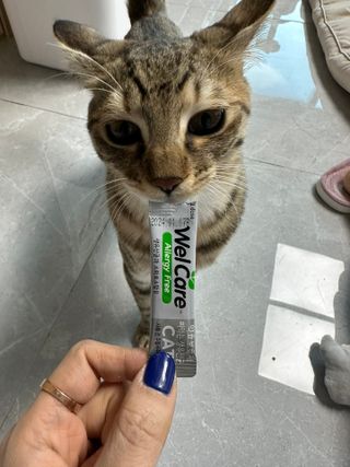 므힛님이 올린 리뷰 사진 2