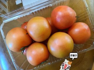 그므시라꼬님님이 올린 리뷰 사진 2
