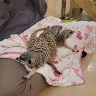 루나님이 올린 리뷰 사진 3