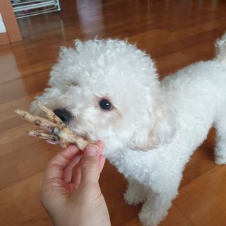 민동2님이 올린 리뷰 사진 1