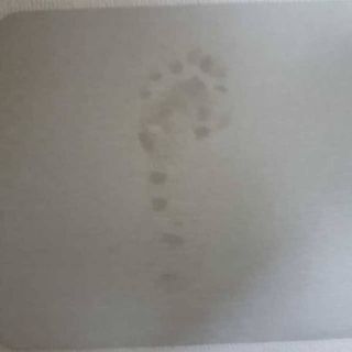 [보장균수5억] 건강한장 프로젝트 강아지간식 보스독 프로펍스트릿 170g 3종 — 5점을 준 리뷰어가 2021년 1월 올린 사용 사진