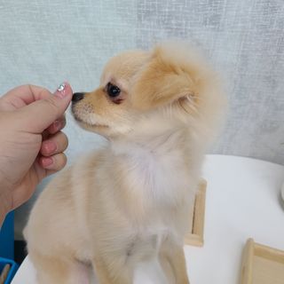 광땡이님이 올린 리뷰 사진 3