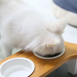 털털미녀님이 올린 리뷰 사진 4