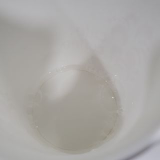 에프에이치아이코리아 Fresh순 프로폴리스 무알콜 일회용 가글 11ml 10개입 — 5점을 준 리뷰어가 2021년 4월 올린 사용 사진