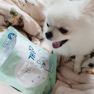 My Pet Care 천연단백질 눈건강에 개좋아 — 5점을 준 리뷰어가 2020년 12월 올린 사용 사진