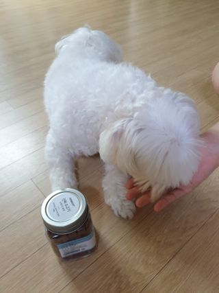 페페로니 진짜 오메가3 연어+소고기 180g+180g — 5점을 준 리뷰어가 2021년 7월 올린 사용 사진