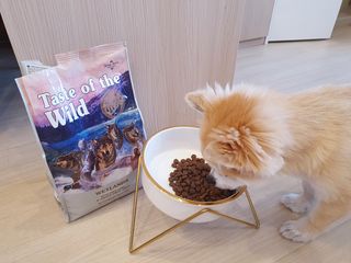 좋아님이 올린 리뷰 사진 2