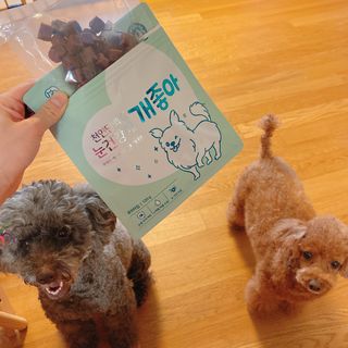 My Pet Care 천연단백질 눈건강에 개좋아 — 5점을 준 리뷰어가 2021년 3월 올린 사용 사진