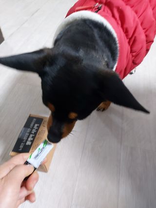 지영님이 올린 리뷰 사진 2