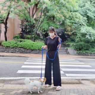 베이컨박스 [BACON] 고아웃클럽 이지그립 리드줄, 목줄 세트-BLUE — 5점을 준 리뷰어가 2021년 7월 올린 사용 사진