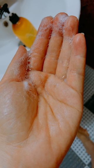 방방곳곳 편림초 마이크로바이옴 샴푸 — 5점을 준 리뷰어가 2022년 4월 올린 사용 사진