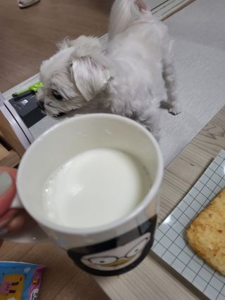 뽀오오옹님이 올린 리뷰 사진 3