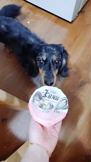 쇼군오마니님이 올린 리뷰 사진 3