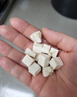[펫시밀] 원물그대로 영양듬뿍 동결건조 왕북어트릿300g,왕치킨트릿400g,열빙어트릿300g 대용량 간식 — 5점을 준 리뷰어가 2023년 5월 올린 사용 사진
