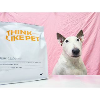 씽크라이크펫 큐브생식 1kg — 5점을 준 리뷰어가 2022년 11월 올린 사용 사진