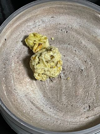 진시님이 올린 리뷰 사진 4