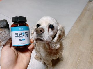 cobemom님이 올린 리뷰 사진 3