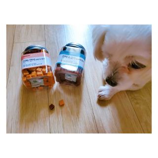 페페로니 진짜 오메가3 연어+소고기 180g+180g — 4점을 준 리뷰어가 2021년 7월 올린 사용 사진