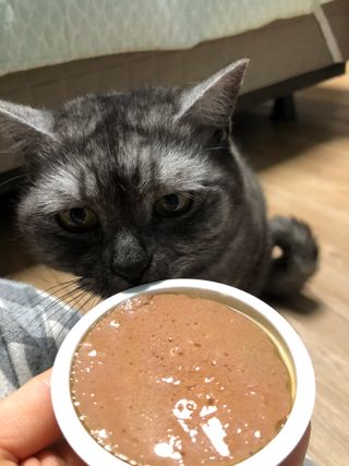 지연님이 올린 리뷰 사진 2