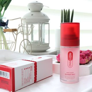 레드투래드 안티더스트 배리어 미스트 55ml — 5점을 준 리뷰어가 2021년 6월 올린 사용 사진
