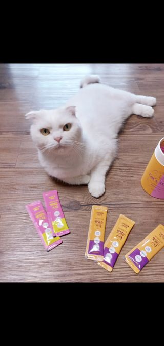 좋아님이 올린 리뷰 사진 2