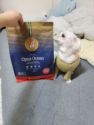 두부님이 올린 리뷰 사진 2