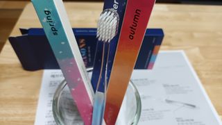 에브리모먼트 에브리 모먼트 칫솔 Every moment toothbrush — 5점을 준 리뷰어가 2022년 5월 올린 사용 사진