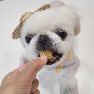 mini unni님이 올린 리뷰 사진 4