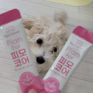 댑빵이님이 올린 리뷰 사진 1