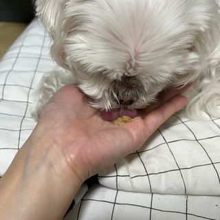 열무님이 올린 리뷰 사진 2