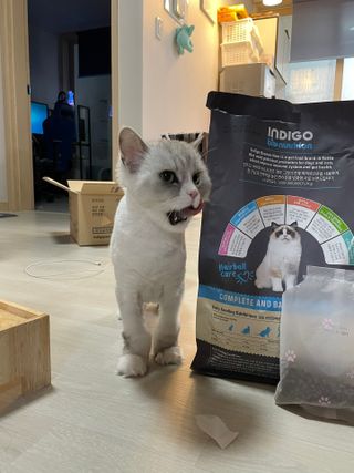 부먹부부님이 올린 리뷰 사진 4