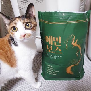 JENNY님이 올린 리뷰 사진 1