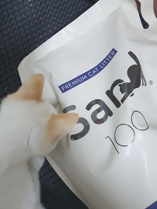 밤비네님이 올린 리뷰 사진 1