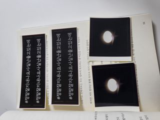 가을봉숙 정말잘지내나요사실난울고있는데 — 4점을 준 리뷰어가 2022년 6월 올린 사용 사진