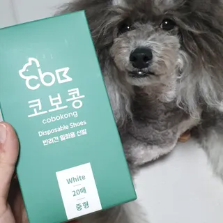 코보콩 에어슈즈 강아지 일회용 신발 소용량 패키지 20매 초경량  미끄럼방지 실내외 겸용 — 4.5점을 준 리뷰어가 2022년 2월 올린 사용 사진