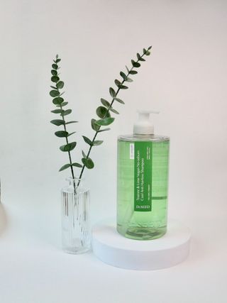 닥터시드 티트리 앤 라임 비건 지성케어 쿨 탈모 샴푸 (1000ml) — 5점을 준 리뷰어가 2024년 4월 올린 사용 사진