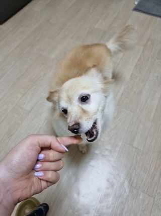 은둔샘님이 올린 리뷰 사진 3